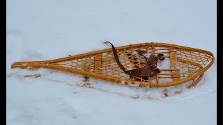 A few points about Snowshoes [upl. by Karlis]