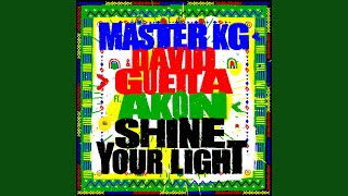 Shine Your Light feat Akon [upl. by Polinski]