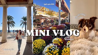 MINI VLOG  Kobi est encore malade  Balade en ville et skin care time  Christelle [upl. by Namyl542]