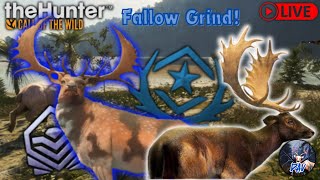 The Hunter call of the wild live46 kills into fallow grind 1 [upl. by Croteau]