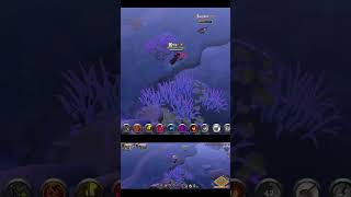 É O GANKAS 27 albiononline pvp [upl. by Boehike]