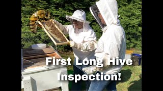 First Long Hive Inspection  Episode 4 LCH [upl. by Eisler]