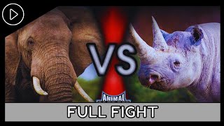 Animal FaceOff 2004  Elephant VS Rhinoceros Full Fight [upl. by Milde9]