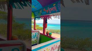 Aruba’s Cultural Island Tour with Kukoo Kukunu 🇦🇼 aruba adventure travel ytshorts shorts [upl. by Glendon]