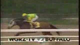 Serenas Song Beldame Stakes 1995  overview [upl. by Micco]