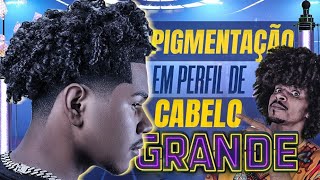 COMO PIGMENTAR PERFIL EM CABELO GRANDE DESVENDANDO TÉCNICAS 73 [upl. by Hollie]