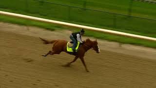 Justify Breeze May 29 2018 [upl. by Aihpled940]