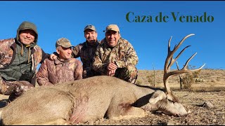 Caza de Venado Bura en Chihuahua México con Grandes Trofeos [upl. by Adnohs778]