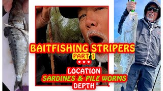 Bait Fishing Stripers  Depth Sardine Hooking amp Pile Worms [upl. by Gratiana]