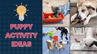 Keeping Your Puppy Entertained and Safe with Fun Activities [upl. by Claudell]