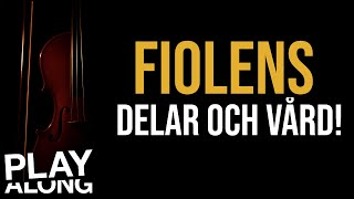 Fiolens delar och vård [upl. by Steen485]