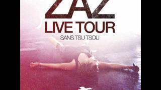 Zaz  Je saute partout Live Tour 2011wmv [upl. by Latvina]