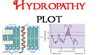 Hydropathy plot [upl. by Lawton]