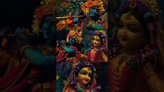 Kanha mere Dil mein shehad tune bhar Diya new shorts video [upl. by Ardnauqal]