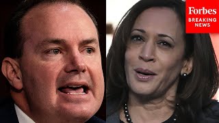 Mike Lee Warns Nevada Voters About Kamala Harris During A TrumpVance Rally In Las Vegas [upl. by Pliner]