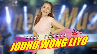 Dini Kurnia  Jodho Wong Liyo Official Music Video ANEKA SAFARI [upl. by Anialam]