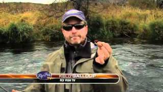 STEELHEAD FISHING DESCHUTES WITH KELLY GALLOUP [upl. by Thurlow]