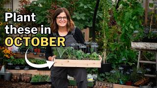 OCTOBER PLANTING GUIDE Top Veggies Flowers and Herbs for Your Fall Garden [upl. by Ynoyrb500]