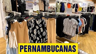 NOVIDADES PERNAMBUCANAS [upl. by Bove631]