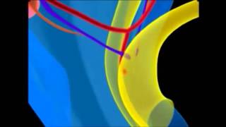 Formación del Sistema Genital [upl. by Fagen]