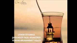 Canım İstanbul ŞiiriNecip Fazıl Kısakürek [upl. by Erual]