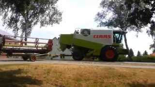 Grassaat dreschen Claas Lexion 430 [upl. by Neal]