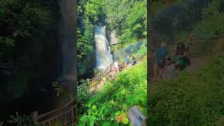 Bushkill Falls PA bushkillfalls waterfall pensilvania fall hiking nature travel [upl. by Akiehs]