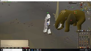 Wilderness Slayer Mammoths [upl. by Yelrah]