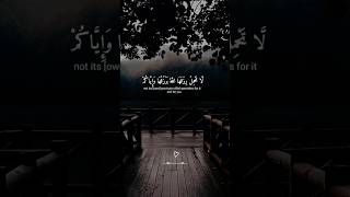 This Quran Recitation Will Soothe Your Soul Like Nothing Else quran [upl. by Sigler]