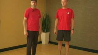 One Legged Plié  Knee Exercise  Dr Steven Smith [upl. by Dusa376]