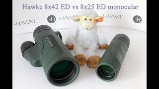 Hawke Endurance ED 8x42 vs ED 8x25 monocular Which is better for you [upl. by Amy]