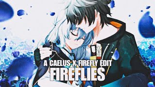 FIREFLIES Caelus x Firefly [upl. by Selokcin853]