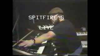 Spitfires 1983 [upl. by Jermaine337]