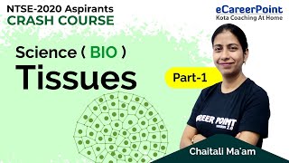 Tissues Part 1  Crash Course  Biology  NTSE  Chaitali Maam  Career PointNTSE [upl. by Meid]