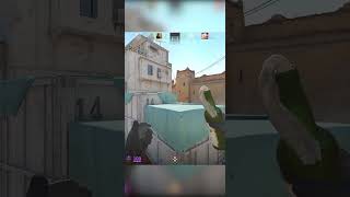 Shoot Rope No Scope cs2 funnymoments shootingrope gaming counterstrike counterstrike2 [upl. by Caryl]