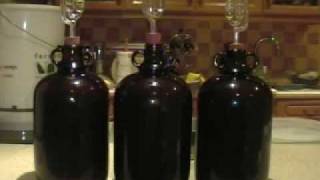 How to Make Wine from Grapes at Home [upl. by Ynaiffit]