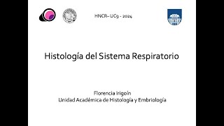 Sistema Respiratorio [upl. by Notslar621]