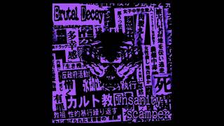 Brutal Decay Insanity Scamper EP [upl. by Aeriela192]