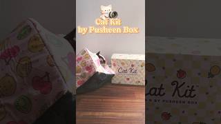 Cat Kit mystery box by Pusheen Box Summer 2024 unboxingvideo [upl. by Kissiah90]