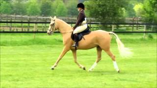 first ridden show BCA [upl. by Cuthburt]