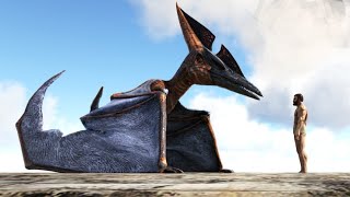 How to spawn a pteranodon and saddle in Ark [upl. by Thatcher470]