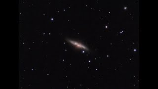 Live observation of the Cigar Galaxy M82 with a Stellina smart telescope 1722024 [upl. by Ingram]