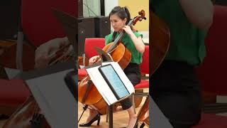 Libertango Cello Quartet [upl. by Neeuq]