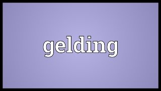 Gelding Meaning [upl. by Michail]