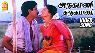 அருகமணி கருகமணி Arugamani Karugamani  Video Song Mappillai Vanthachu  Rahman Gautami  Ilayaraaja [upl. by Wrdna]