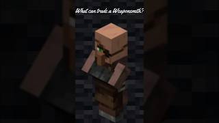 What can trade a Weaponsmith viral minecraft shortvideos tools [upl. by Kragh]