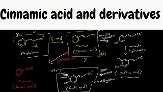 cinnamic acid biosynthesis  biosynthesis part 9 [upl. by Trutko]