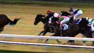 Personal Ensign  1988 Breeders Cup Distaff  Post Race amp Interviews [upl. by Phonsa]