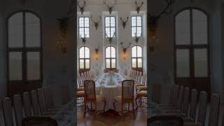 Royal dining room 😱😱😱 Moritzburg Castle germany dresden youtubeshorts shorts [upl. by Slack]