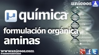 QUIMICA Organica AMINAS BACHILLERATO compuestos nitrogenados [upl. by Narf98]